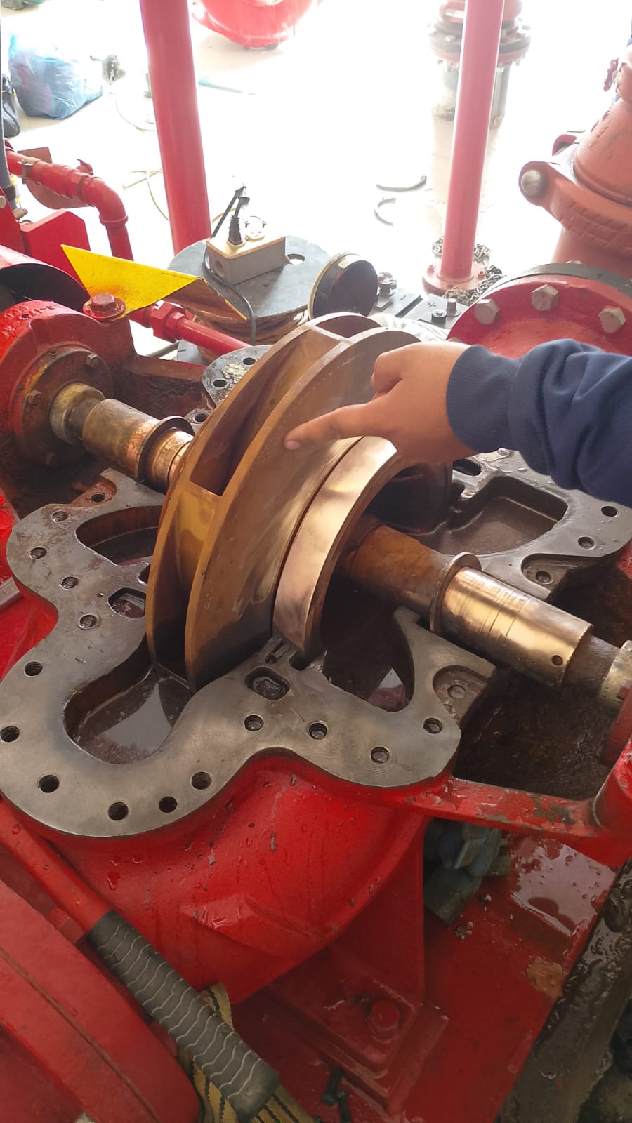 Trabajo 10